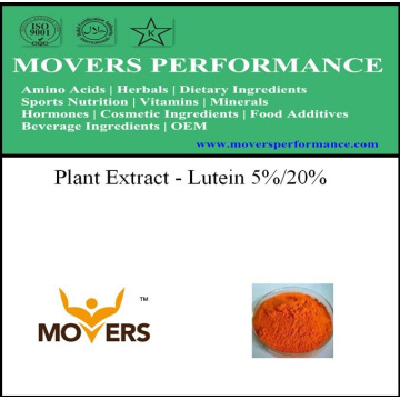 Extracto de Plantas Orgánicas --- Luteína 5% / 20%